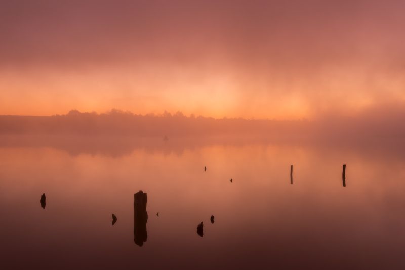 осень, деревья, облака, золотаяосень, цветосени, озеро, листья, туман В дни осени они расцветают вновь фото превью