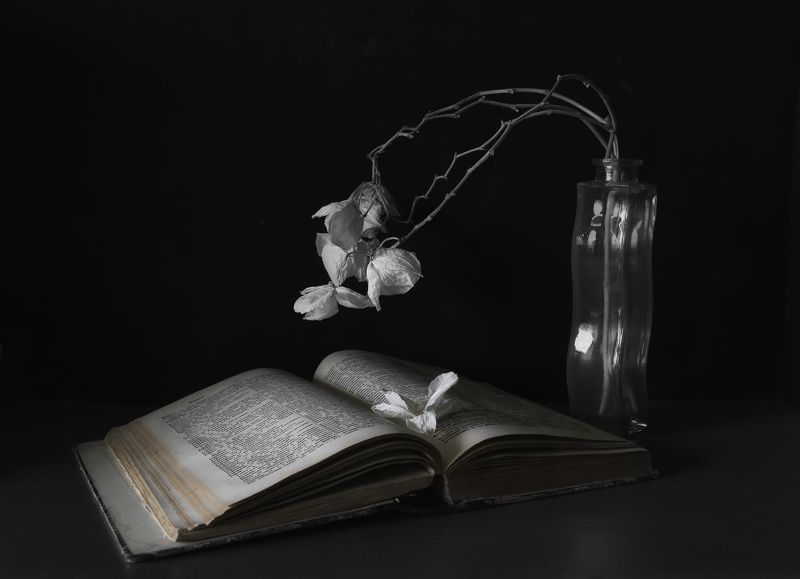 усталые цветы фото превью