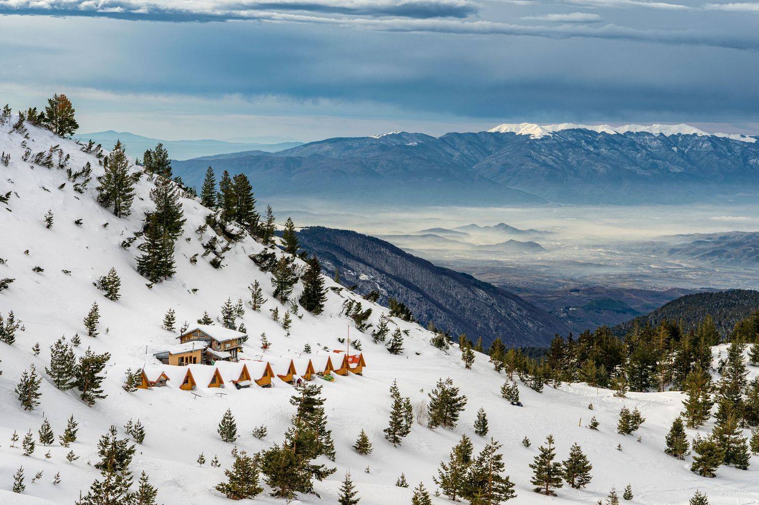 , Пламен Куденко