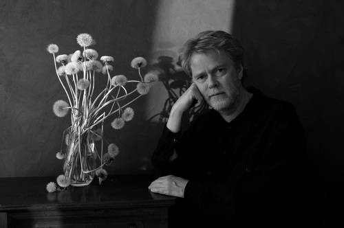 Седой одуванчик