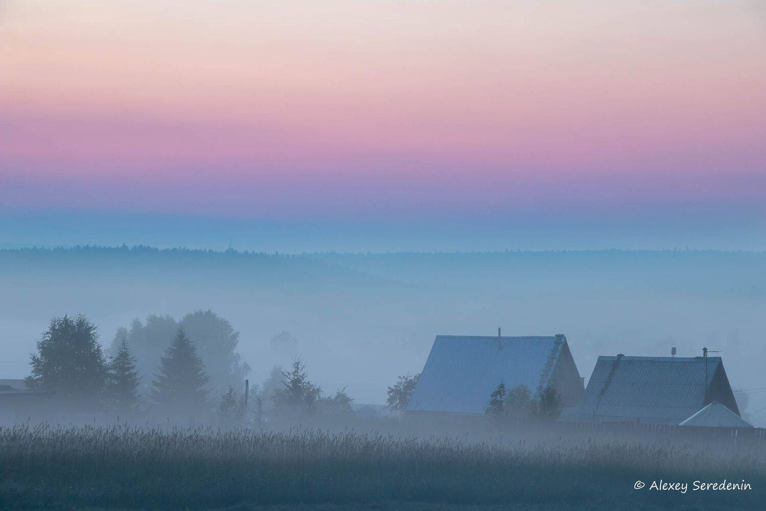 , Алексей Середенин