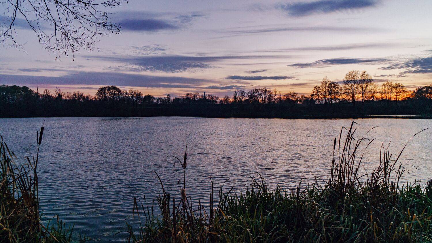 , Юрий Вертиков