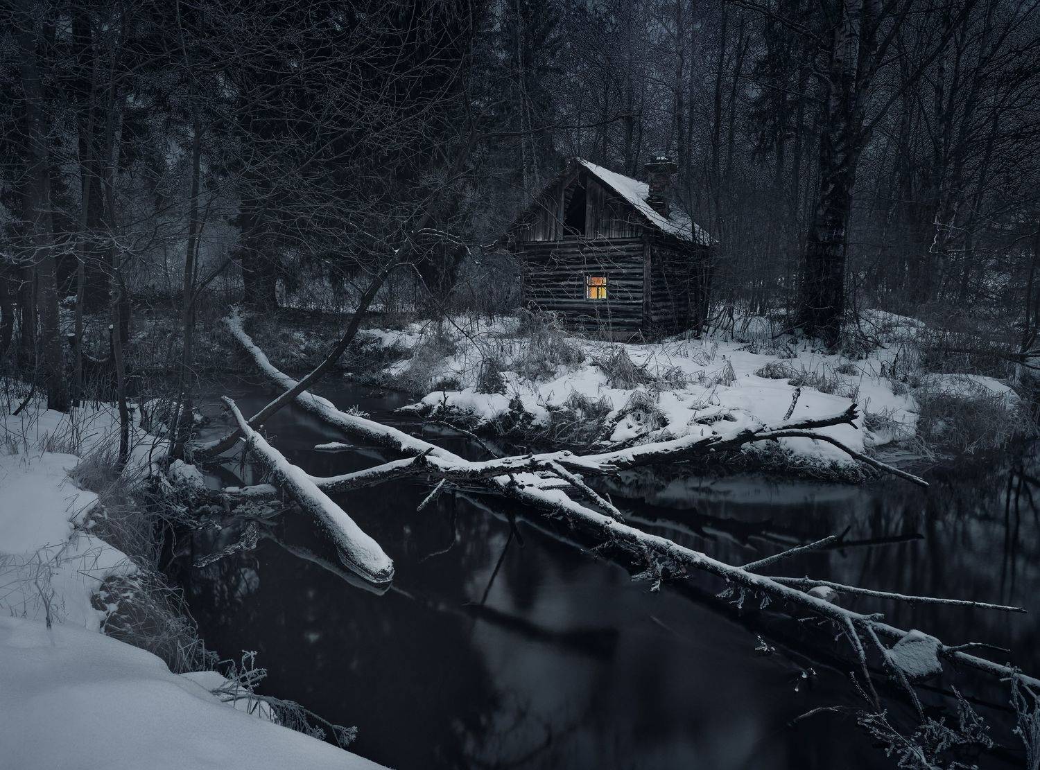 дом, речка, лес, бурелом, Максим