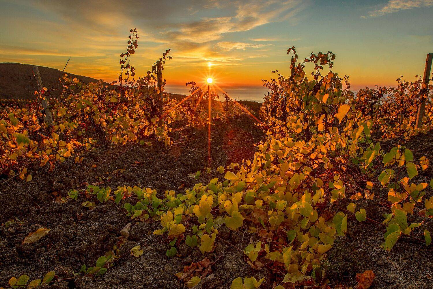 Крым, Елена Гусева