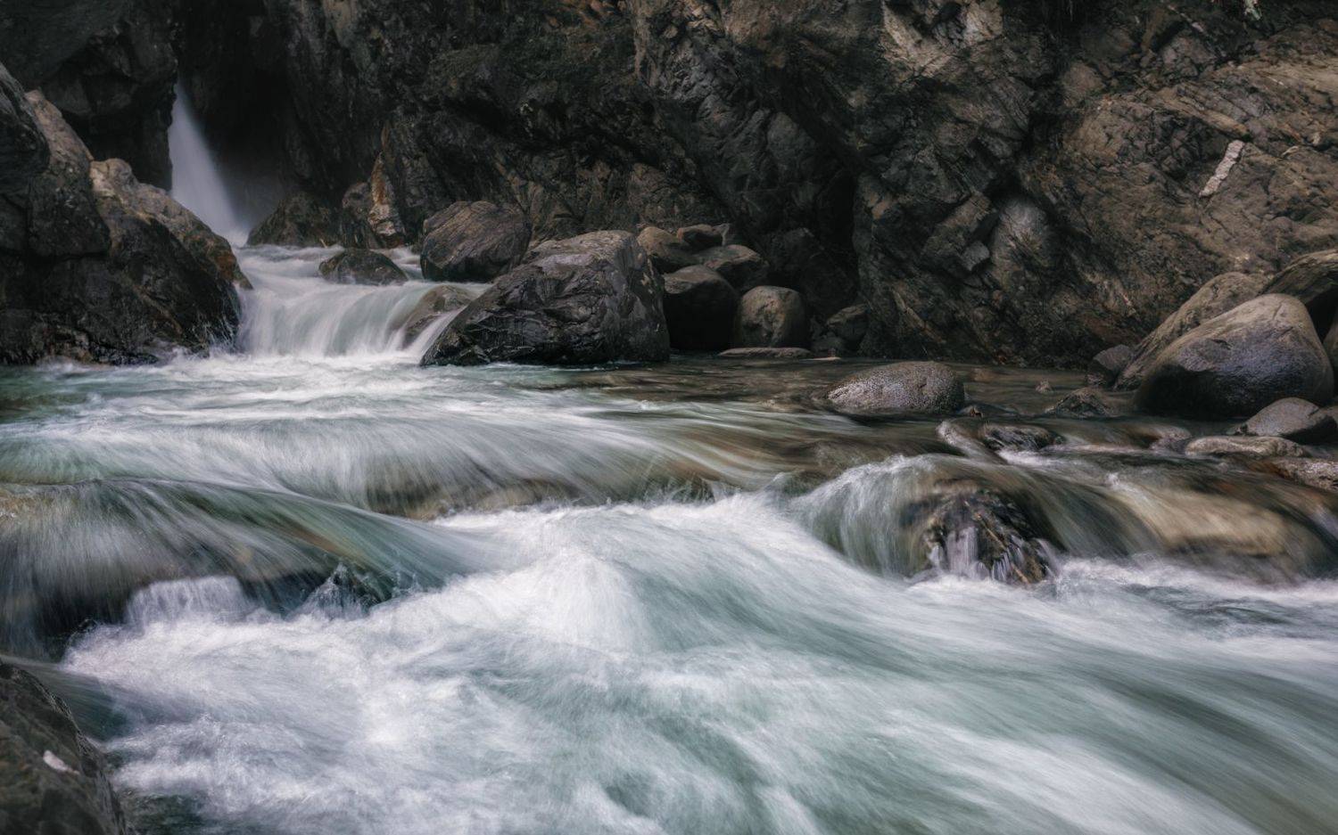 , Олег Дунаев