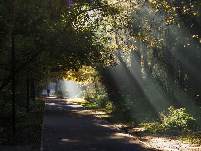 солнечные лучи фото превью