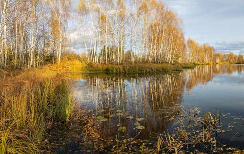 Черная Порза. Октябрь.