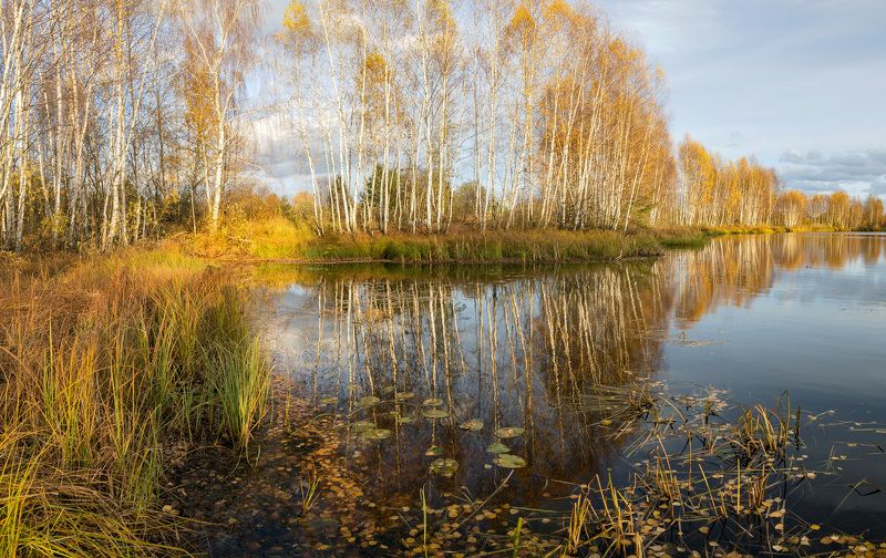 осень октябрь черная порза Черная Порза. Октябрь. фото превью