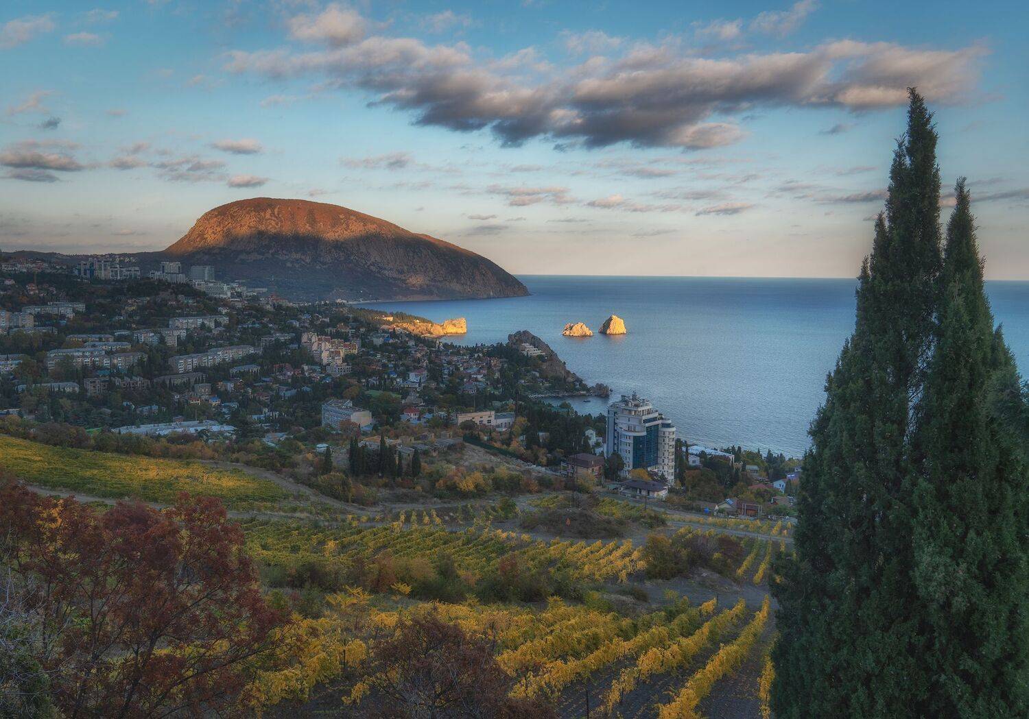 , Константин Дэм