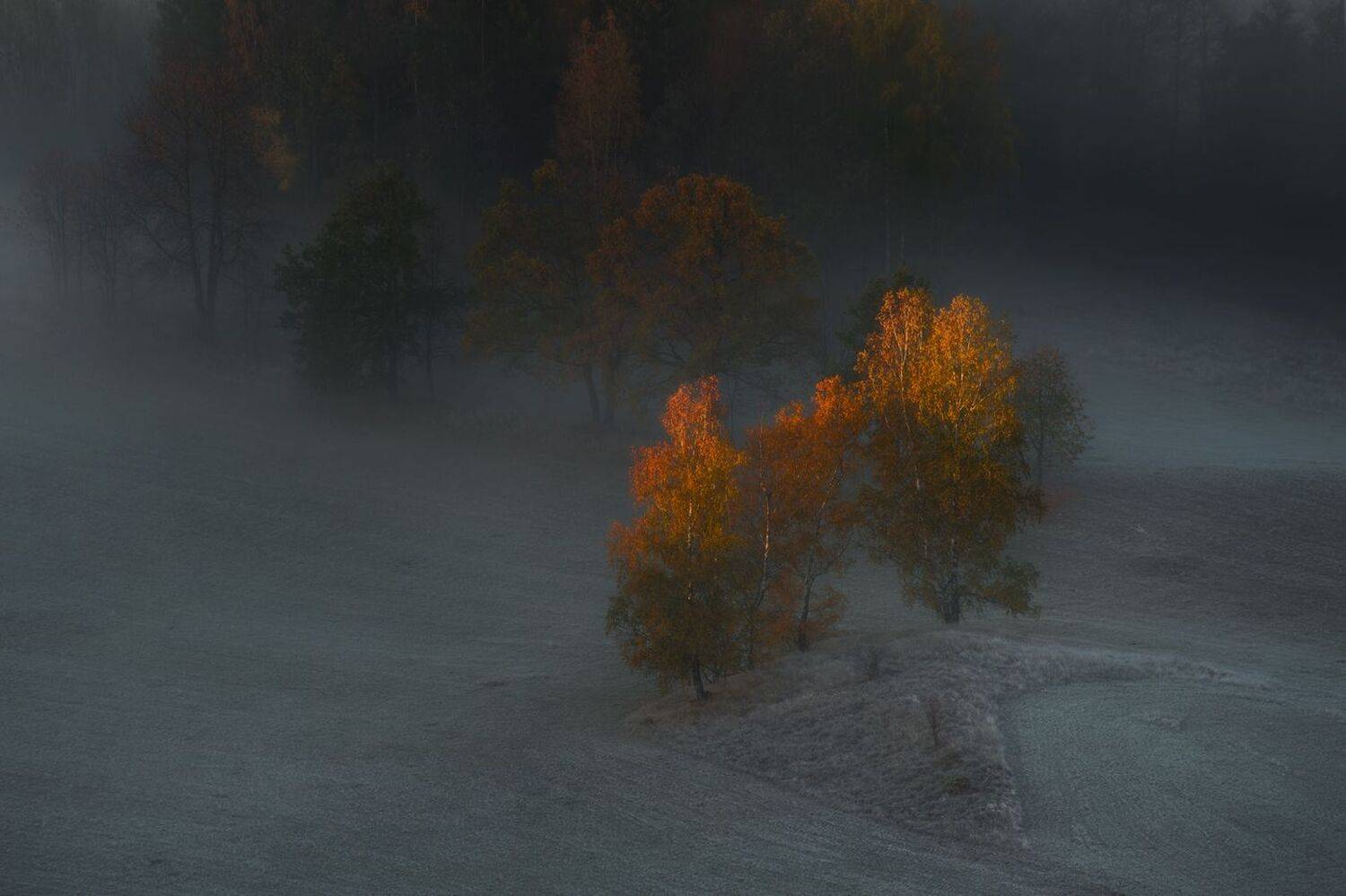 landscape,autumn,mountains,canon, Iza i Darek Mitręga