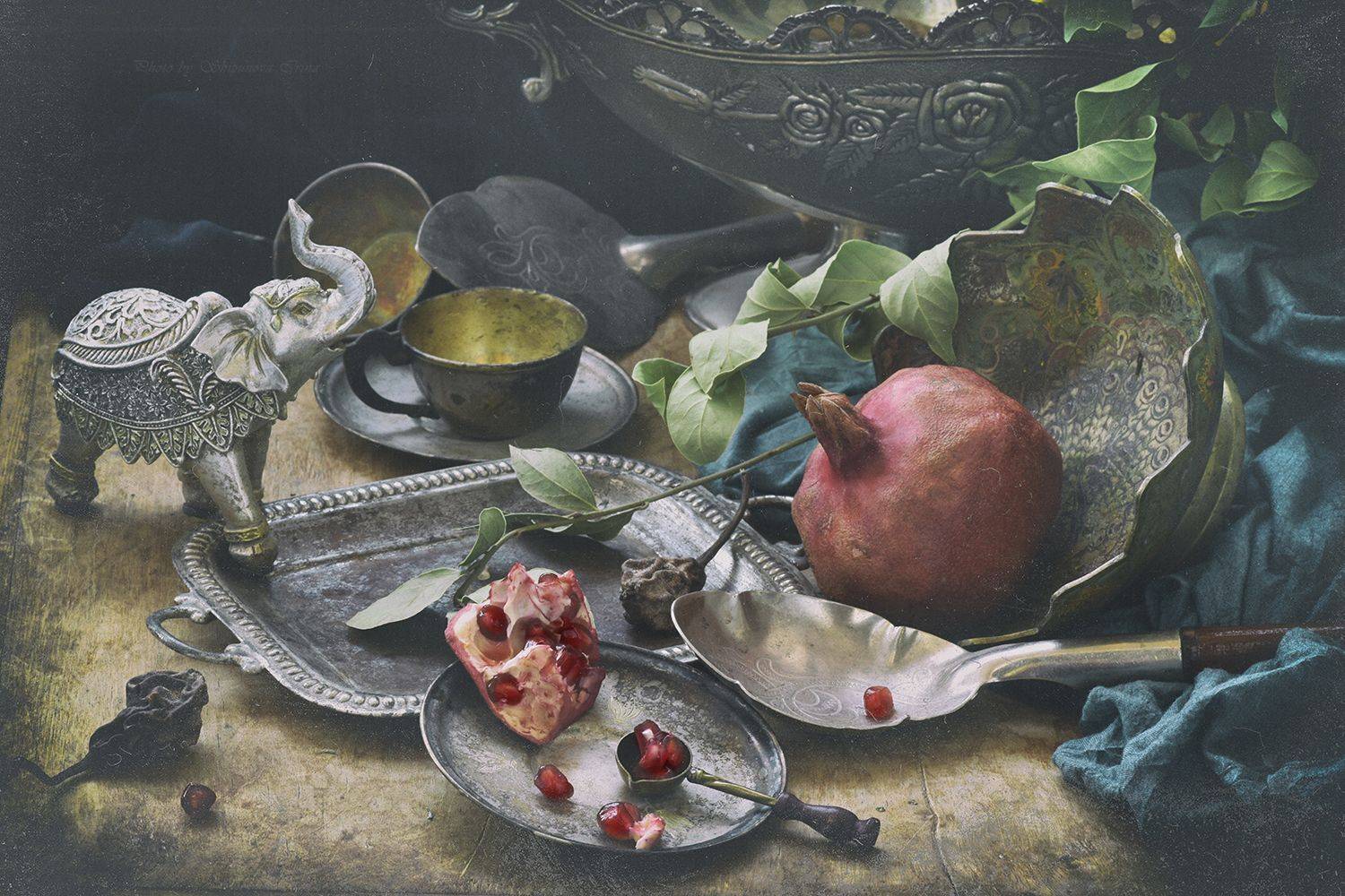 , Шипунова Ирина