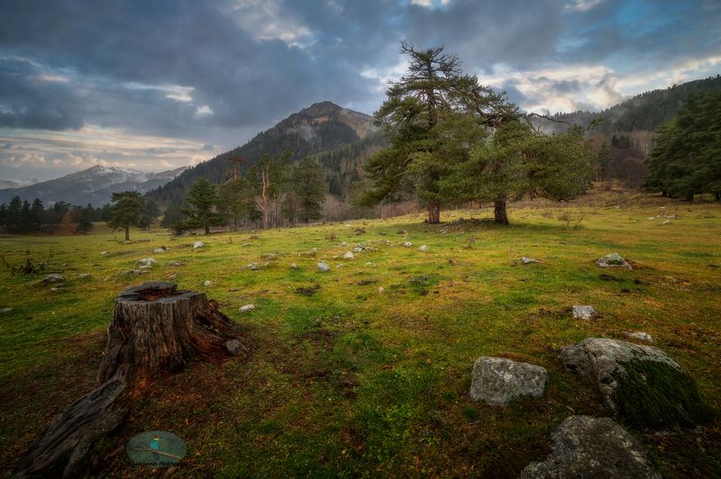 Накрапывал мелкий осенний дождь фото превью