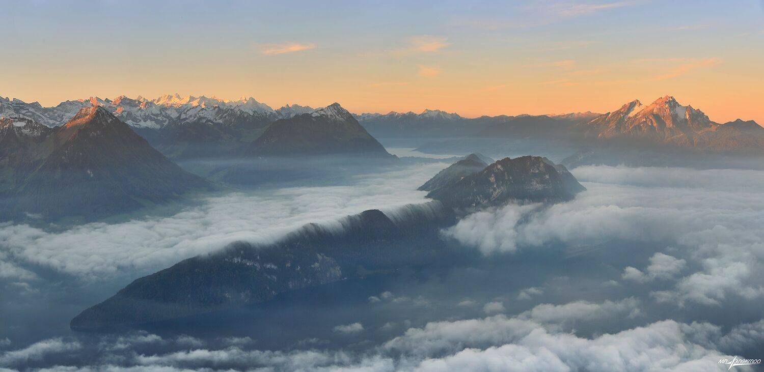 swiss, Матвеев Николай