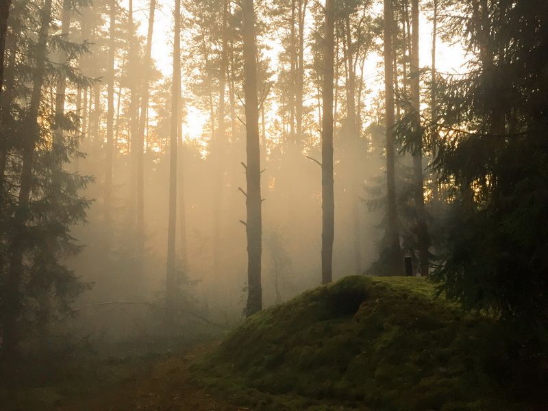 Землянка в глуши фото превью