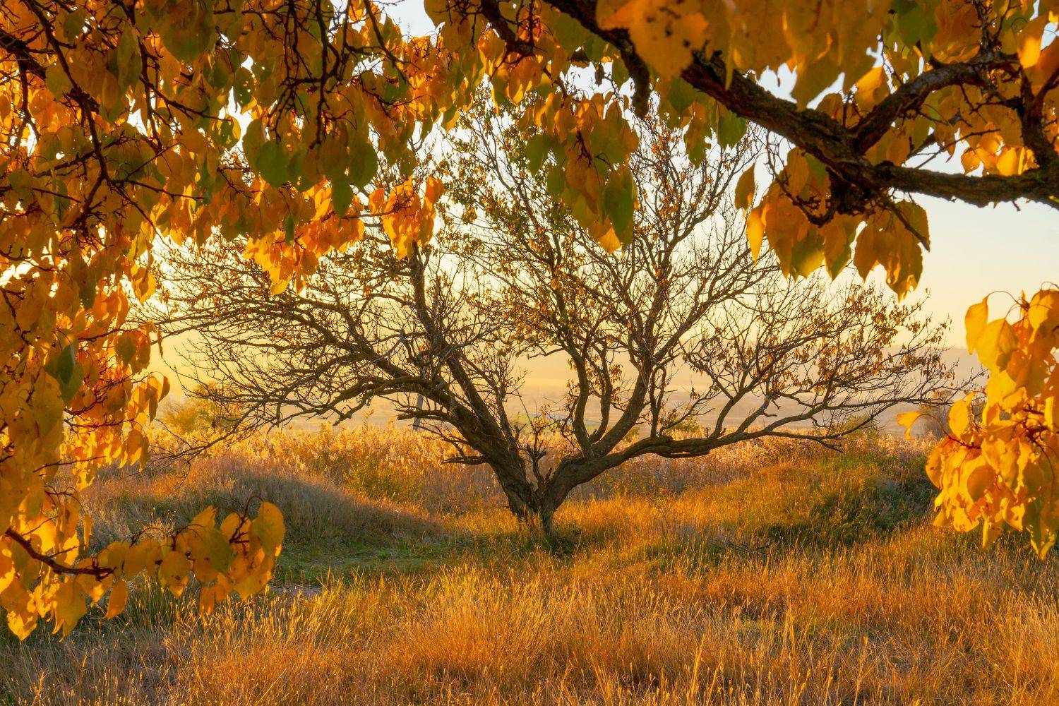 минеральные воды, осень, пейзаж, природа, Максим