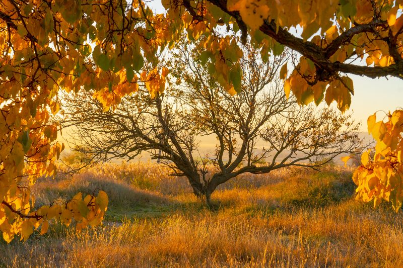 минеральные воды, осень, пейзаж, природа Остатки осени фото превью