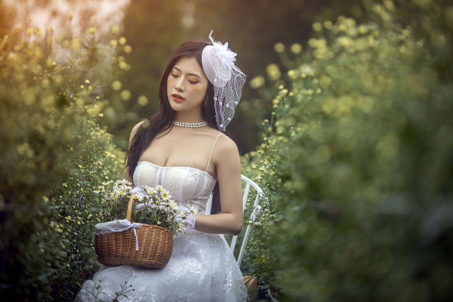 , Nguyễn Ho&agrave;ng Long