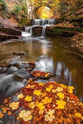 The colors of Autumn2