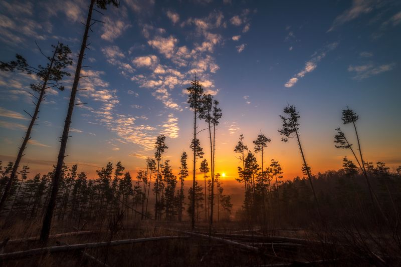 чураево, рассвет, лес, осенний лес, На рассвете. фото превью
