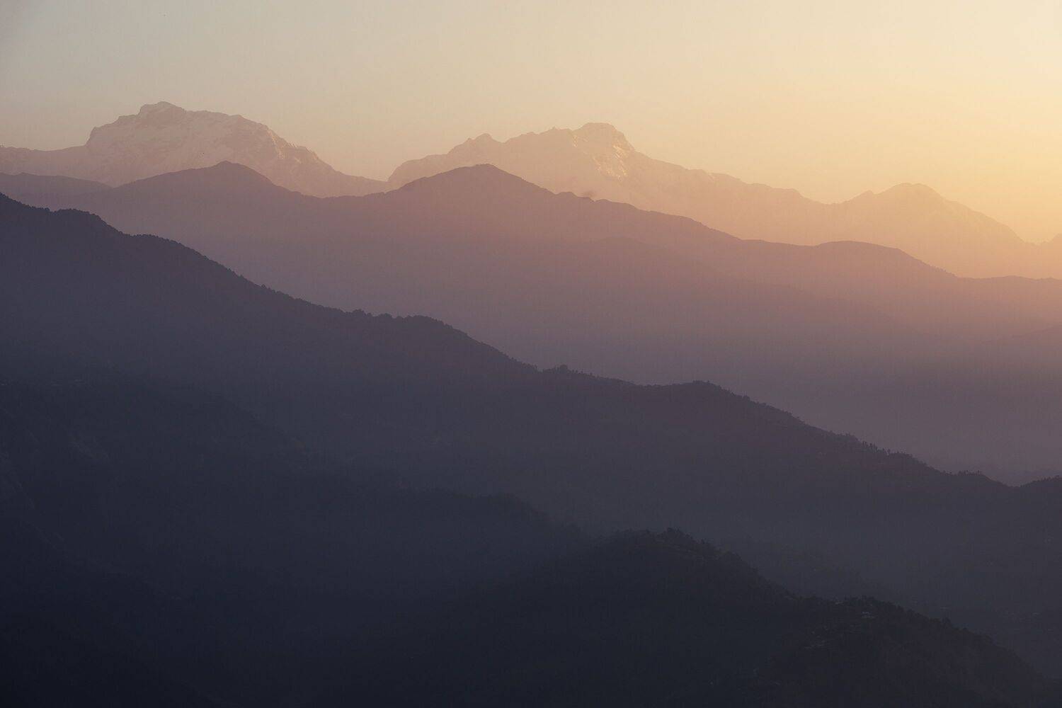 , Алексей Козаченко