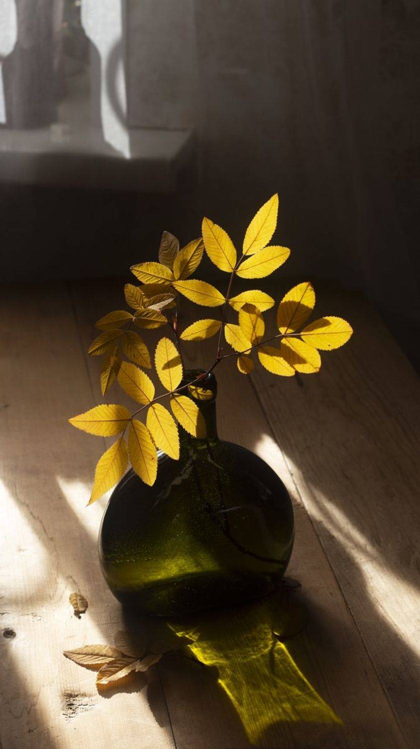 , Марина Кулакова