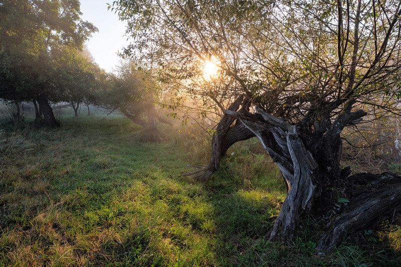 осеннее утро у реки фото превью