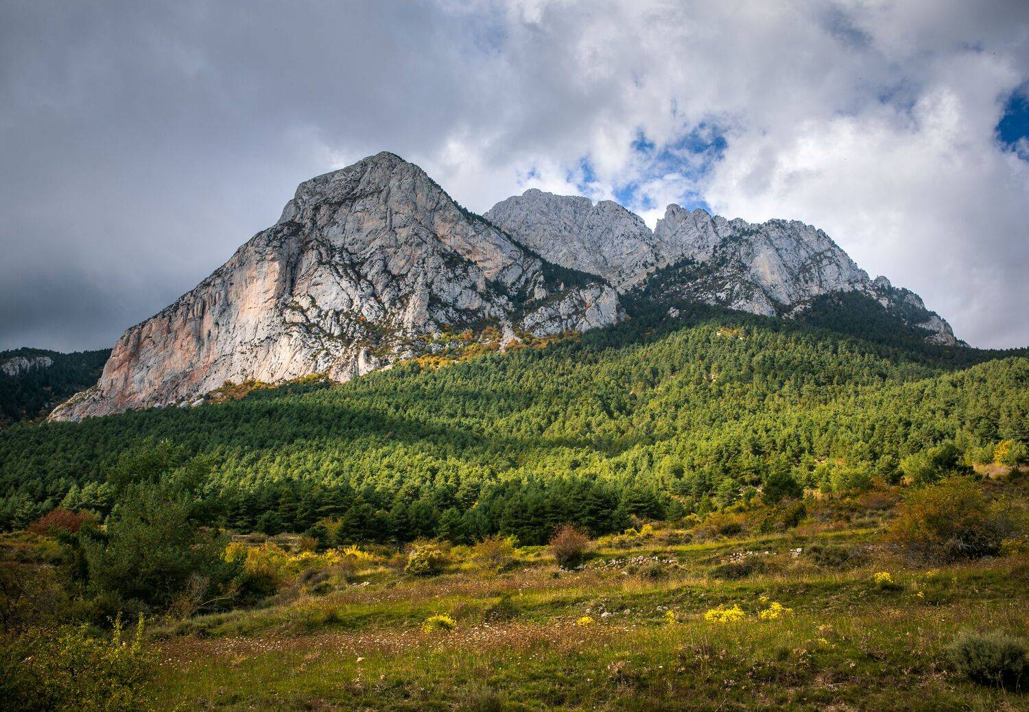 , Алекс Римский