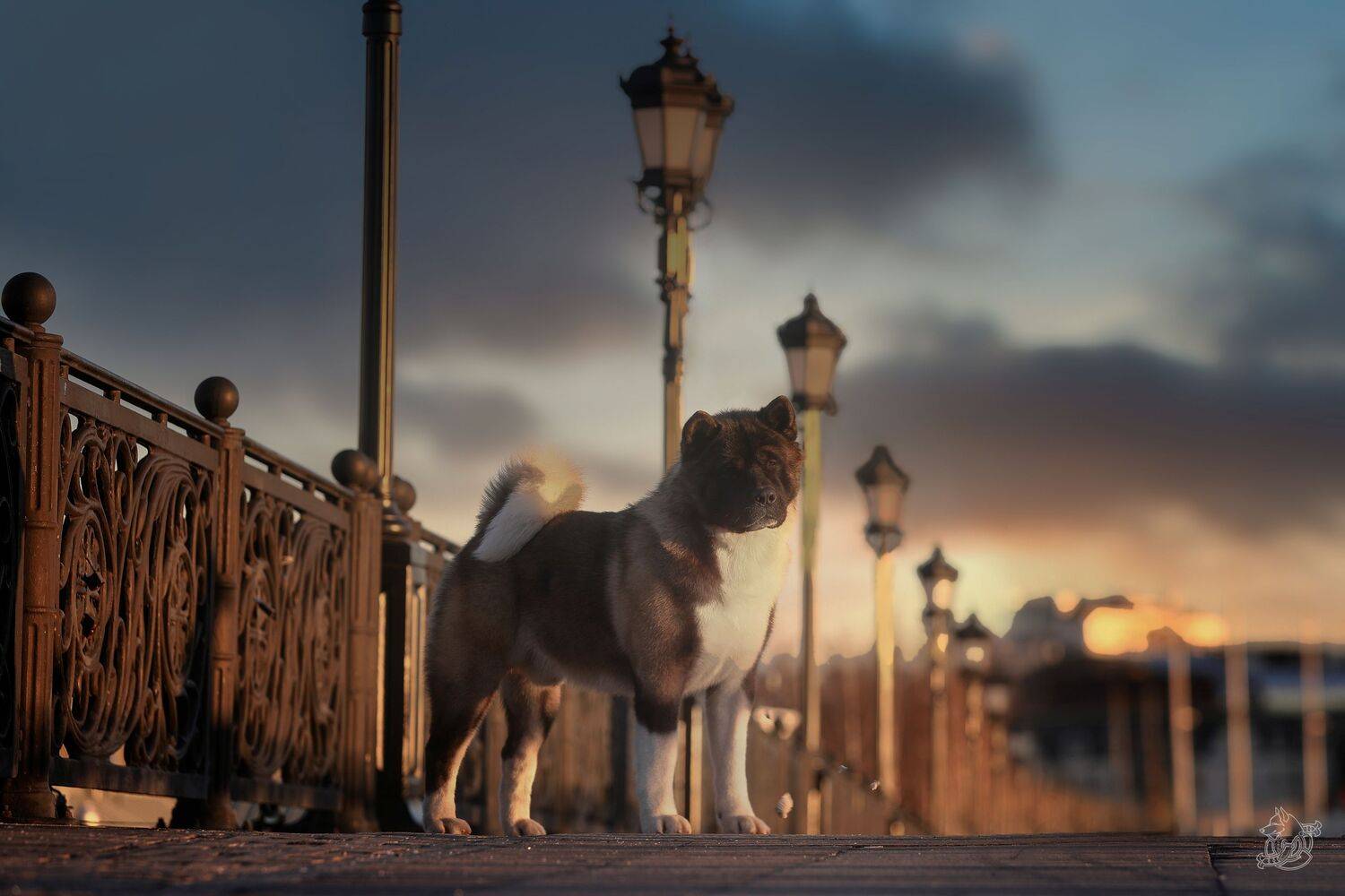 , Андрей Ершов