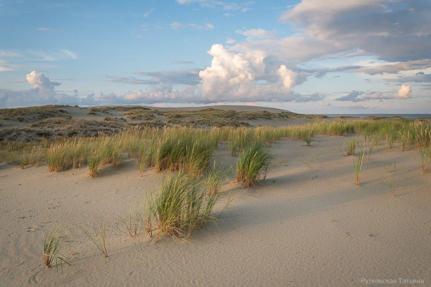 , Татьяна Рутковская