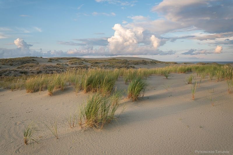 Безмятежность фото превью