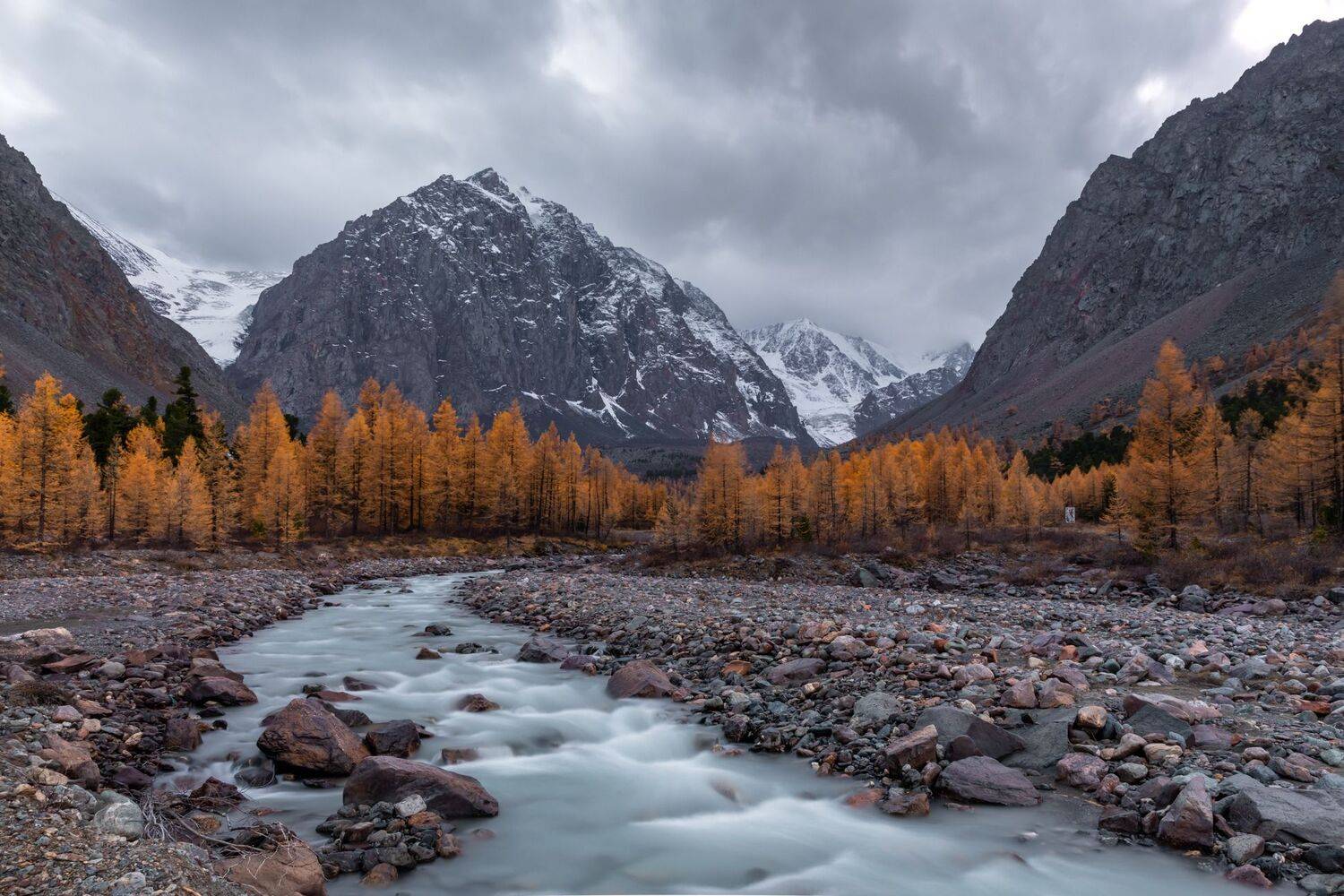 , Евгения Чех