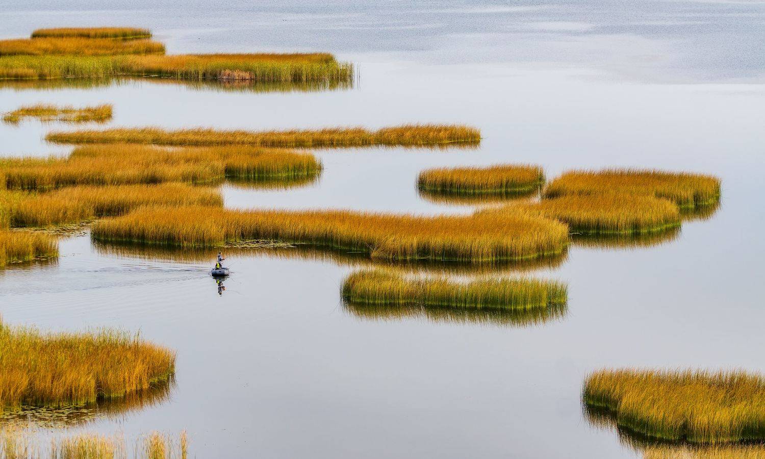 , Леонид Максименко