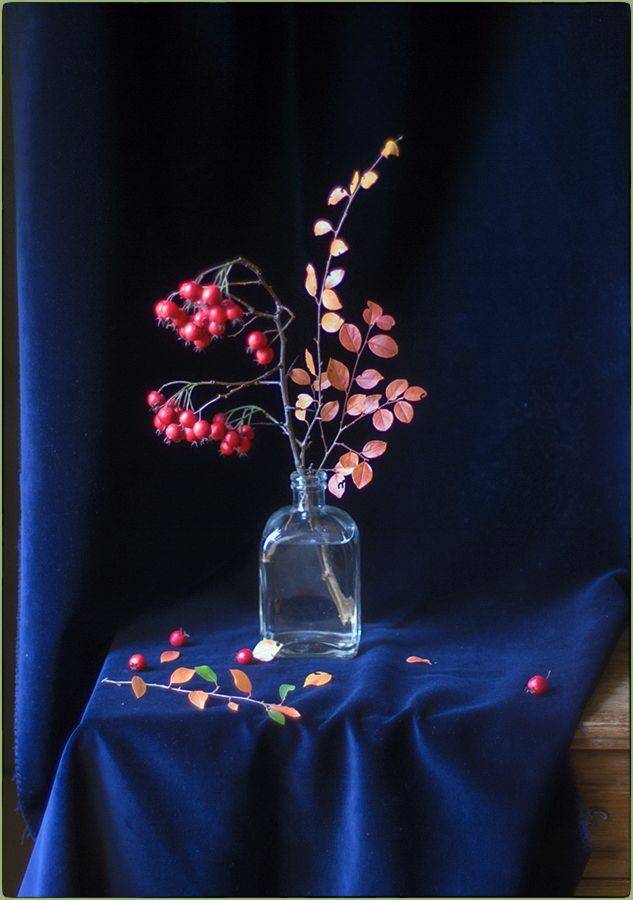 , Stein Georg