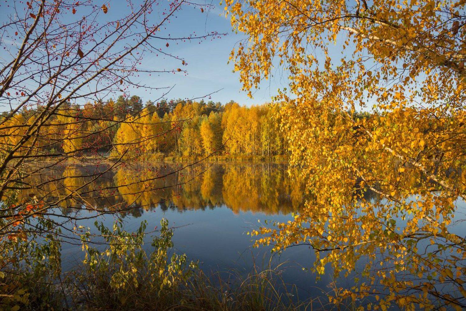 осень октябрь черная порза, Дмитрий Алексеев