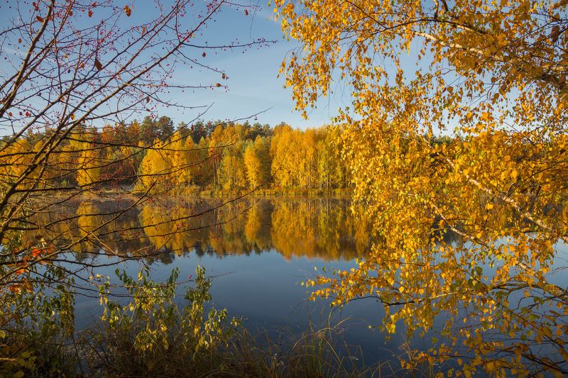 осень октябрь черная порза Сквозь осень фото превью