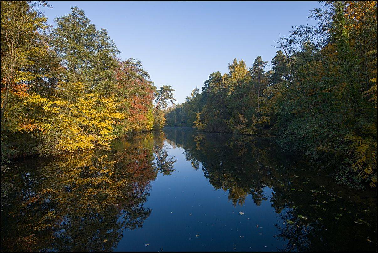 москва, осень, озеро, лес, АНАТОЛИЙ ДОВЫДЕНКО