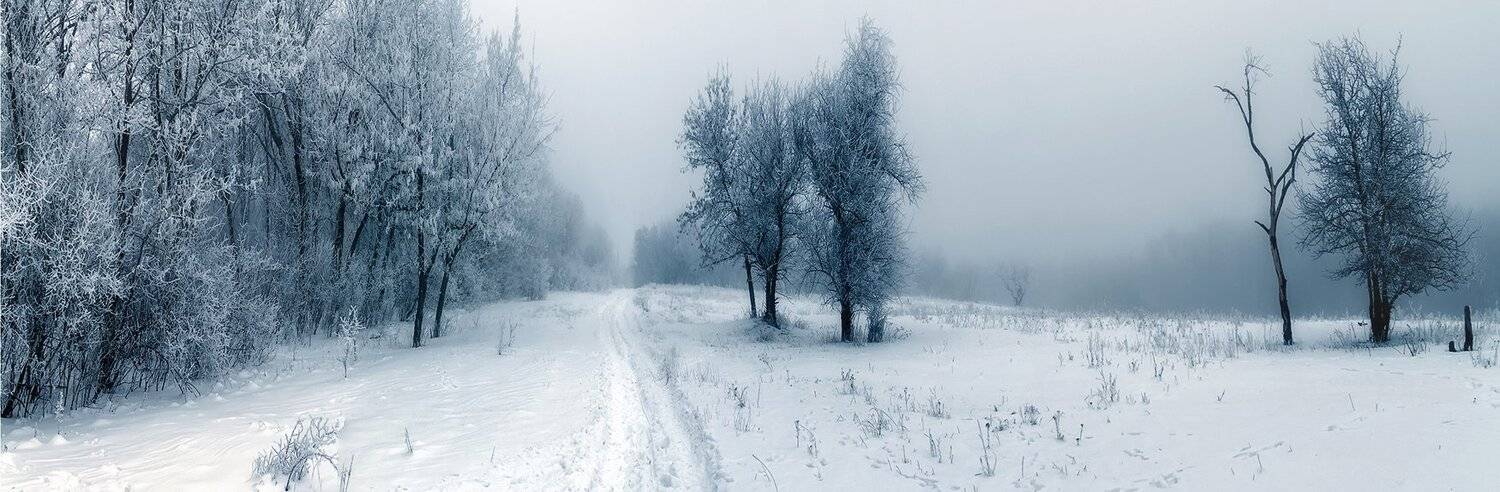 , Игорь Мелекесцев