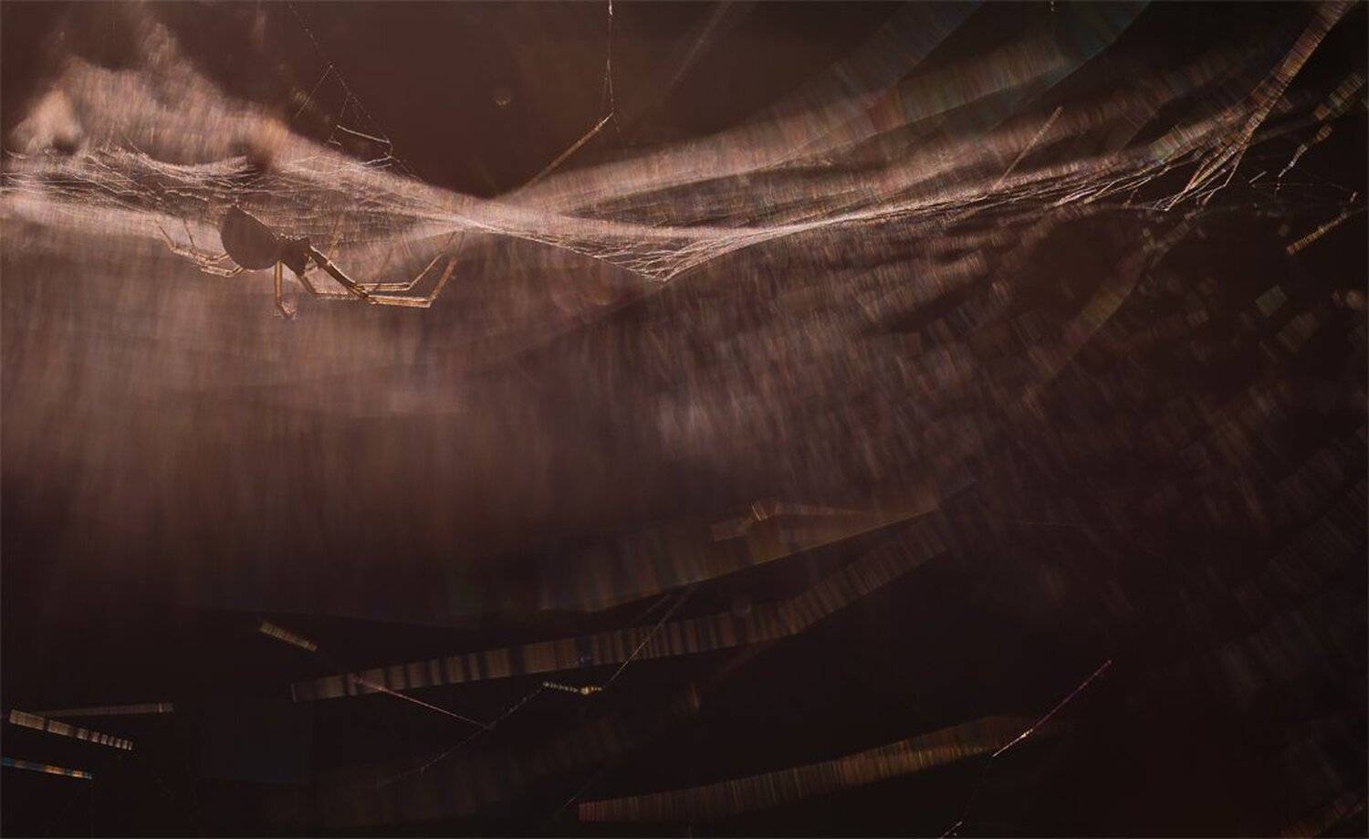 , Геннадий Мещеряков