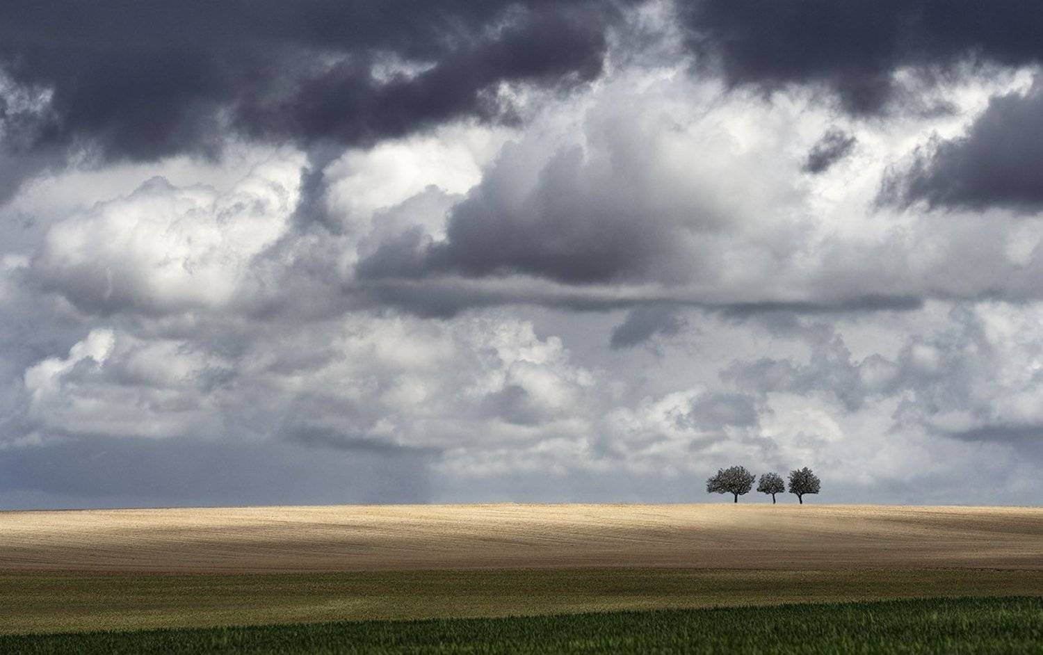 , Danny Vangenechten