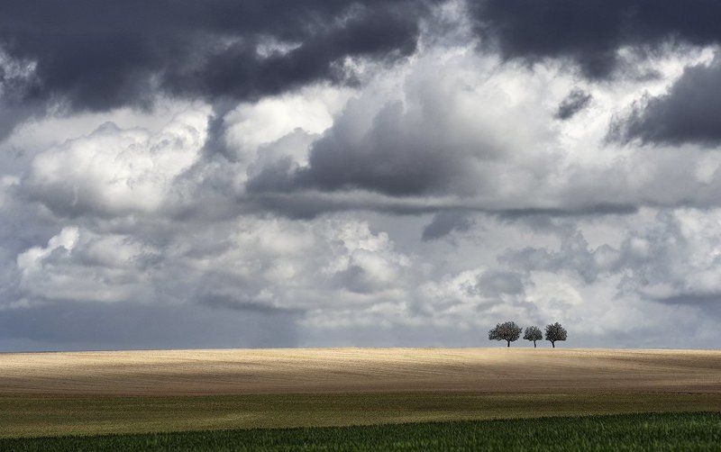 Three фото превью