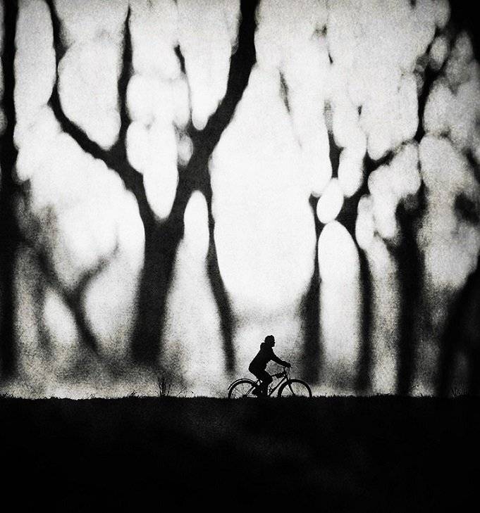 , Krzysztof Trojanowski