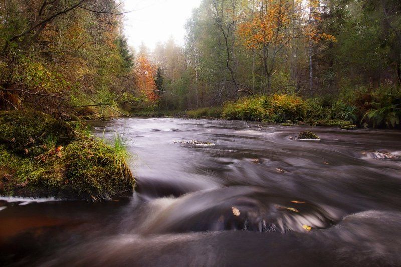 Осень на реке фото превью