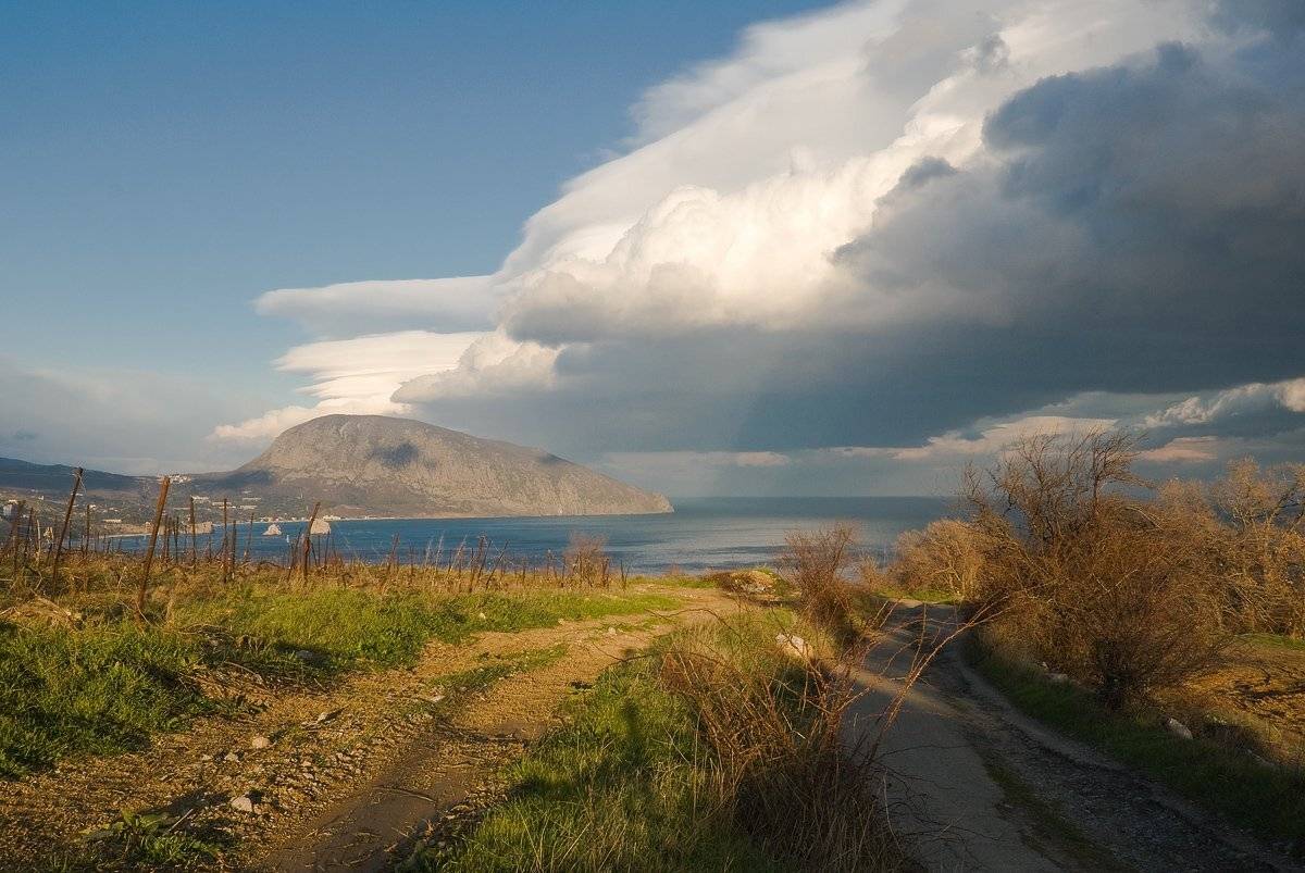 , Саша  Вайсберг / Waldschnepfe /