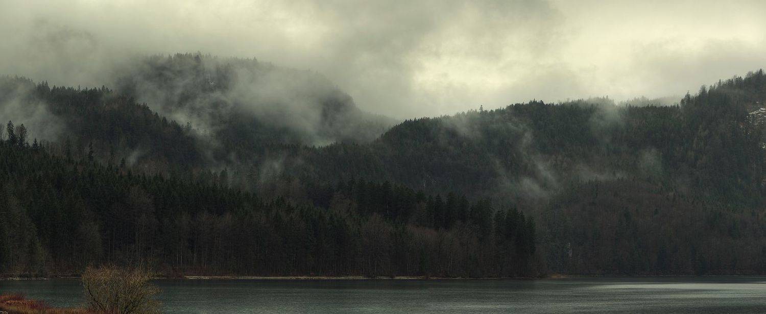 Германия, Пейзаж, Природа, Туман, Ефимов Александр