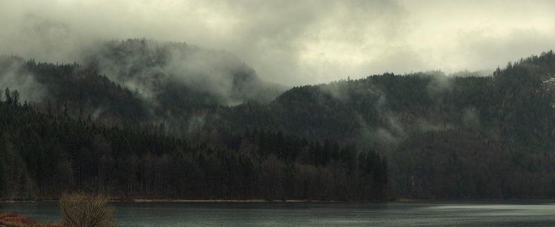 Германия, Пейзаж, Природа, Туман Otherland фото превью