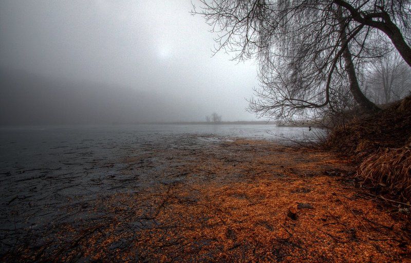 Утречком... фото превью