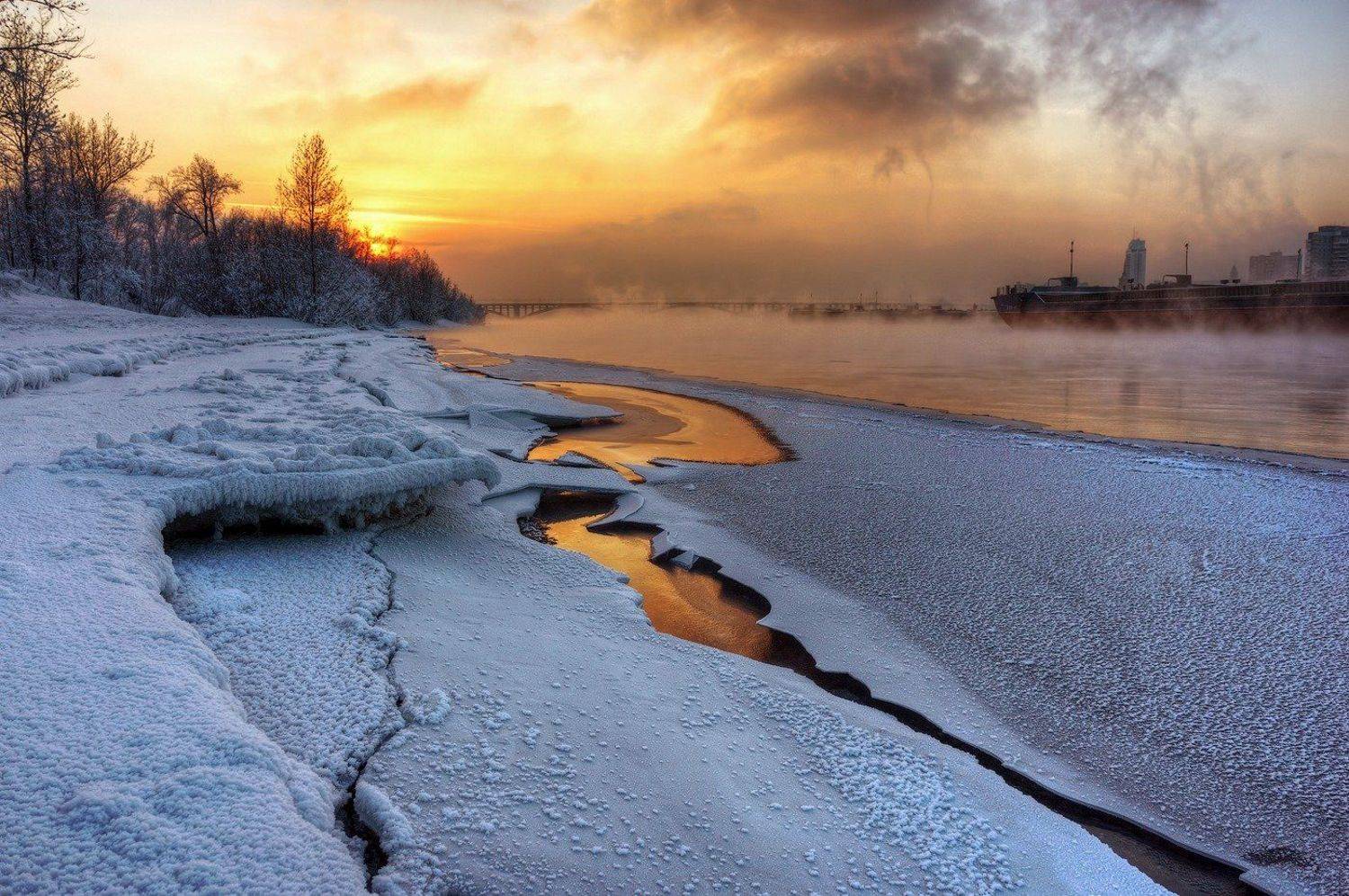 , Криволуцкий Игорь