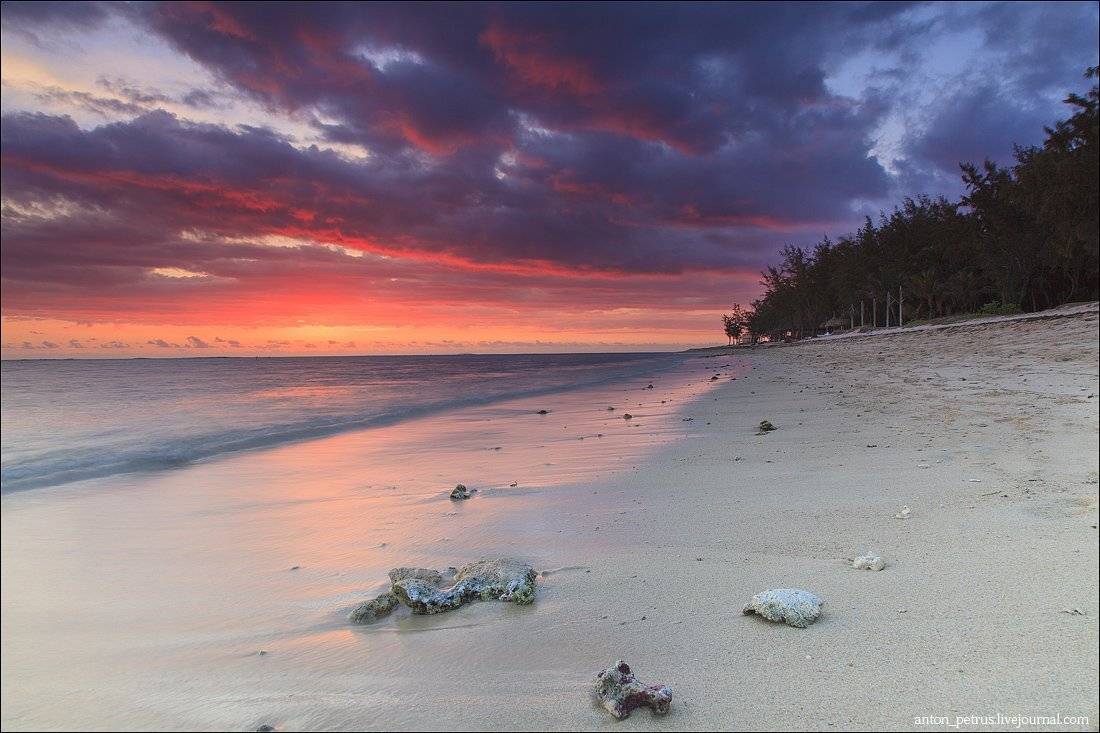 , Антон Петрусь