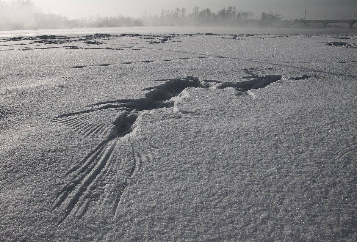 , Николай Морский