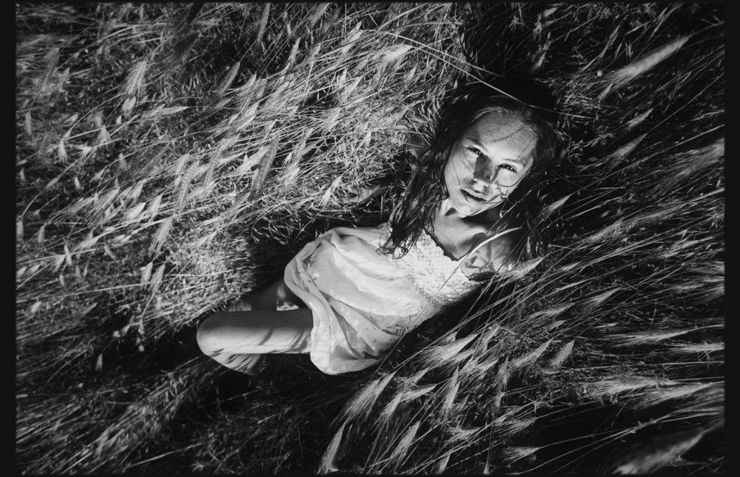 , Бортниченко Дмитрий